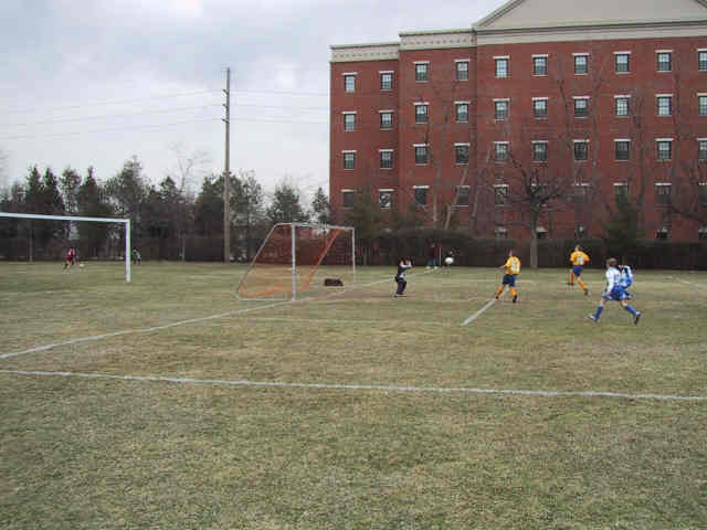 gc-wolves-9-00.jpeg