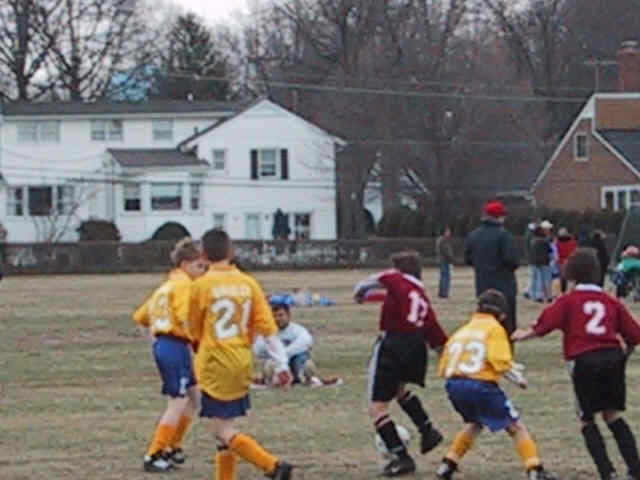 wolves-vikings3-24-01.jpg
